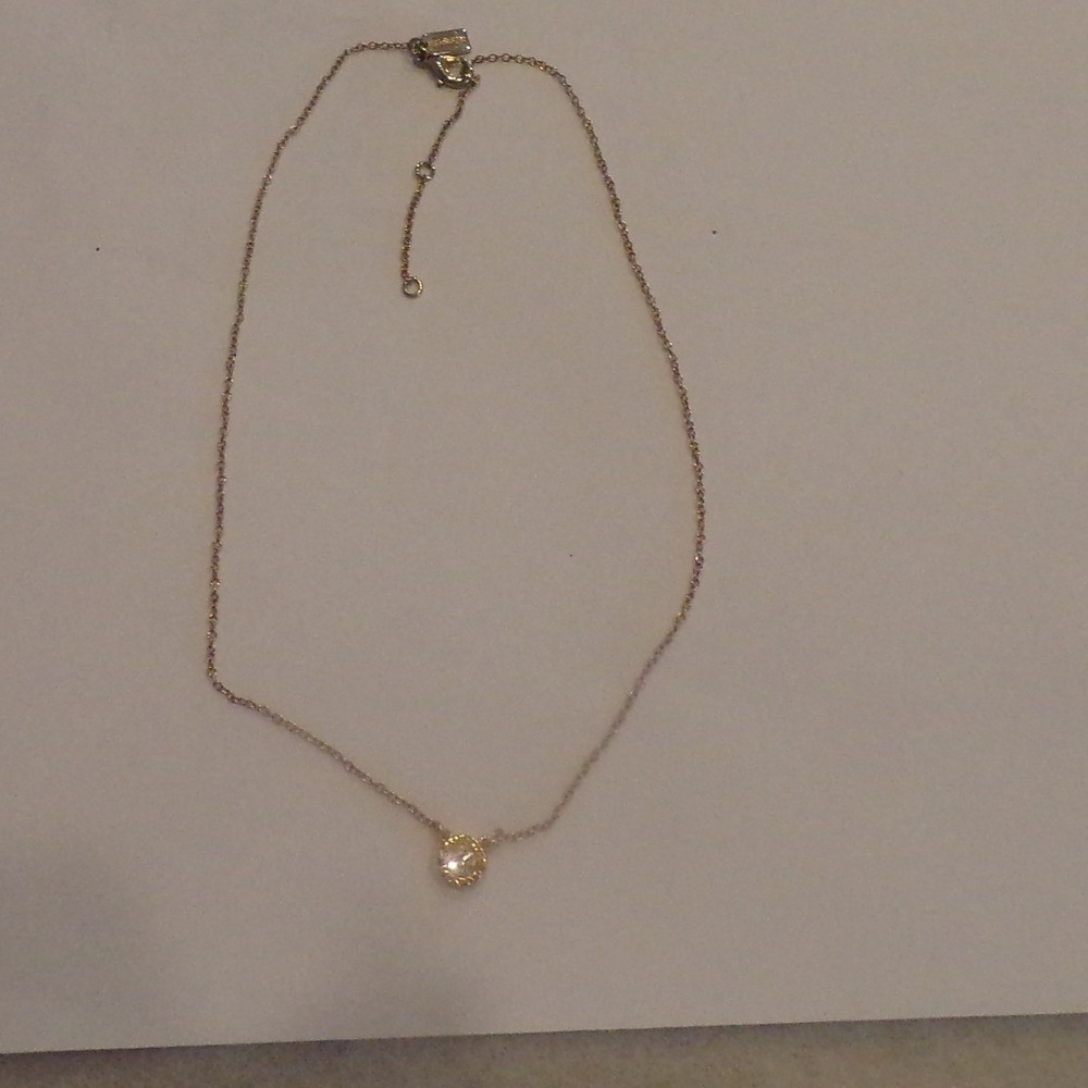Coach 18" Rose Gold Cable Chain Necklace